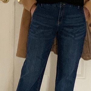 Wide Leg Jean - Banana Republic Factory